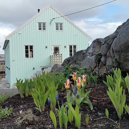 Bed and Breakfast Lysvoldbrygga Henningsvaer Exteriér fotografie