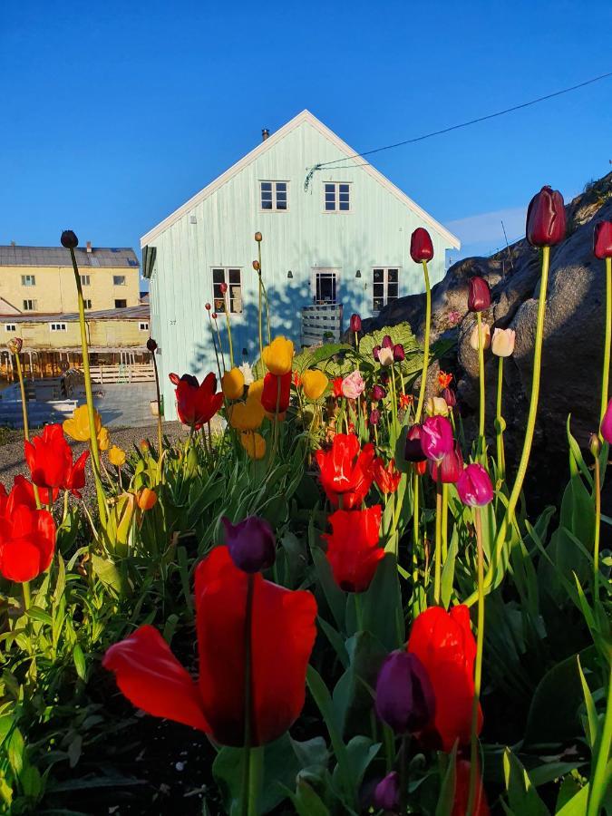 Bed and Breakfast Lysvoldbrygga Henningsvaer Exteriér fotografie